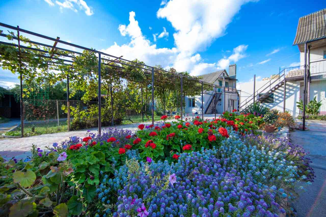 Гостевой дом Частная усадьба "У Машеньки" Заозёрное-40