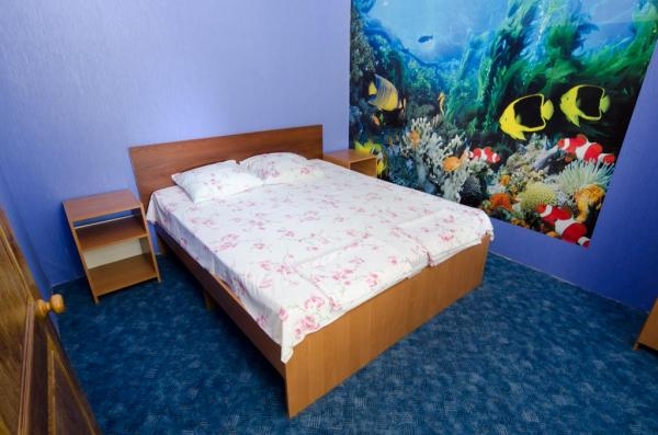 Гостевой дом Частная усадьба "У Машеньки" Заозёрное-5